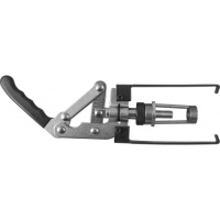 Картинка с сайта